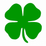 Shamrock