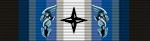 OPERATION ARCTIC GUARDIAN DEPLOYMENT MEDAL