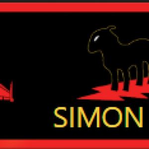 SIMON.png